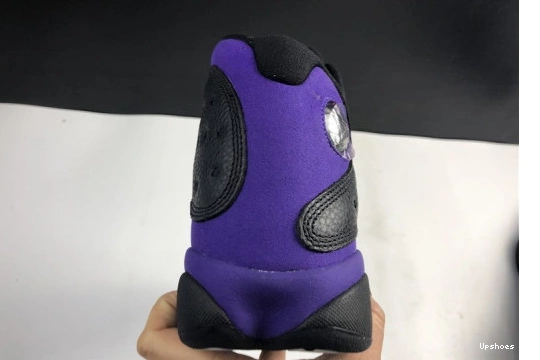 Air Jordan Retro DJ5982-015 Court Purple DJ5982-015 13  0630